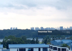 skies-miltonia photo thumbnail #4